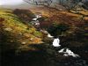 Tilberthwaite Gill