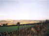 Looking back towards Wolsingham from Rushy Lea Lane