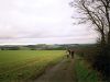 Near Ushaw College looking north