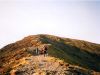 Approaching the summit of Grisedale Pike