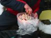 The cake, 21 candles as well! Yes we really did have the cake on top of Scafel Pike huddled behind a wall. It was a good cake though!