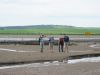 Leaving the road behind and starting accross the sand as the tide dropped away