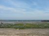 The harbour
