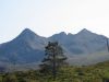 The bus arrived at last and took us all on to Sligachan where we had a brief wait for the bus to Glen Brittle. There was time for a few photos though and here are Sgurr nan Gillean, Am Basteir and Bruach na Frithe basking in the sun