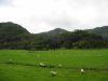 The view setting off from the car park at Legburthwaite